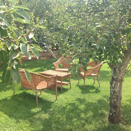 Vakantieboerderij L'agrumeto