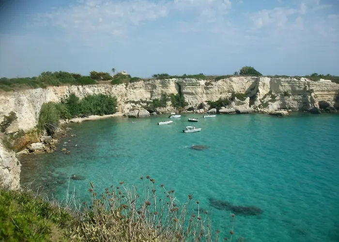 Alojamento de Turismo Rural L'agrumeto *