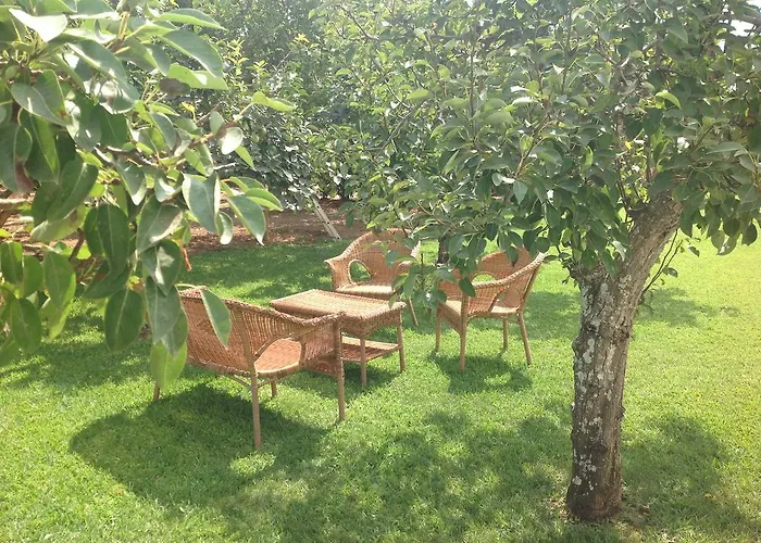 Alojamento de Turismo Rural L'agrumeto